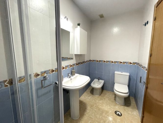 Baño equipado con una ducha, un lavabo, un espejo, un bidet y un retrete